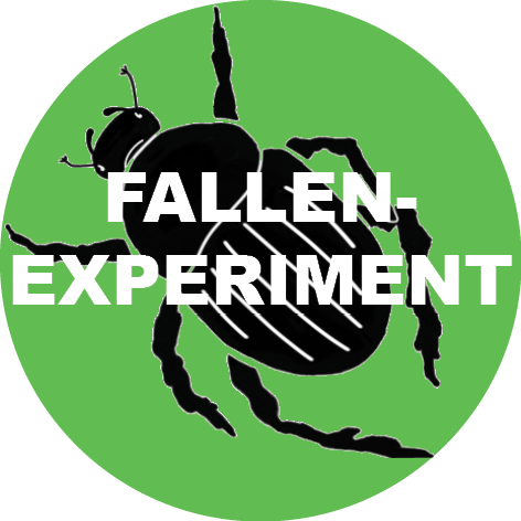 Fallenexperiment_thumbnail.png